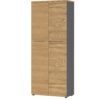 Skrinka na dokumenty 4237-564 GW-AGENDA HOME v dekore grafit / dub grandson